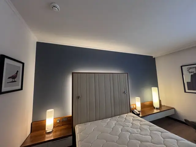 Bedroom with a deep blue feature wall behind an upholstered headboard and crisp white ceiling